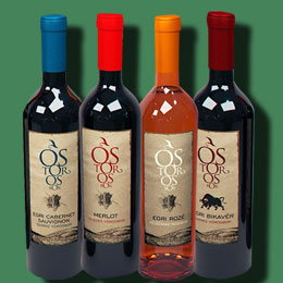 攻击网站服务器