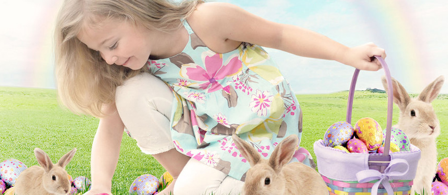 注册服务中心的ddos在线网页端